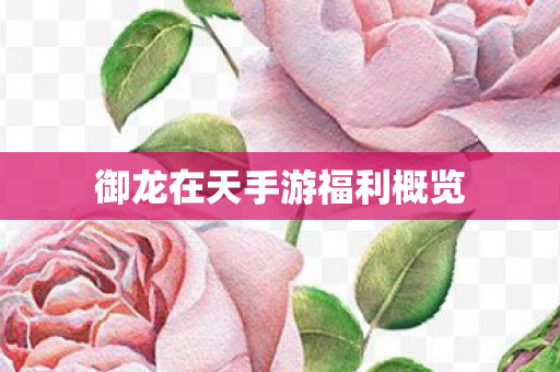 御龙在天手游福利概览图片