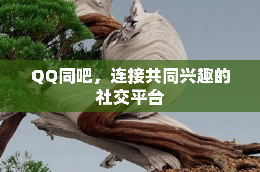 连接共同兴趣的社交平台图片