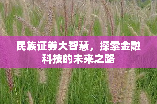 探索金融科技的未来之路图片