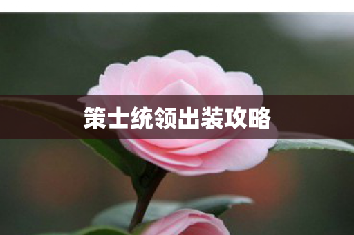 策士统领出装攻略图片