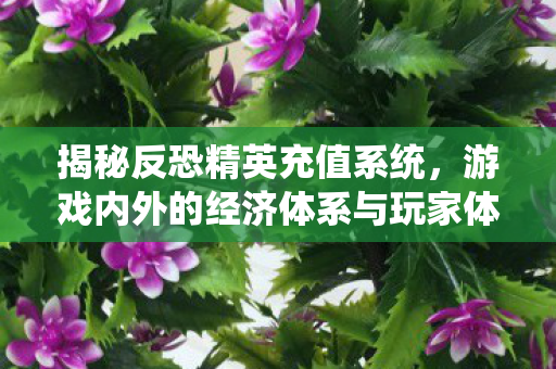 游戏内外的经济体系与玩家体验图片