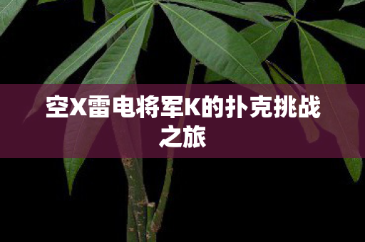 空X雷电将军K的扑克挑战之旅图片