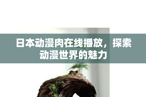 日本动漫肉在线播放图片