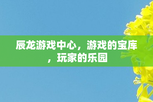 辰龙游戏中心,游戏的宝库,玩家的乐园 辰龙游戏中心,游戏的宝库,玩家的乐园