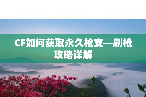 CF如何获取永久枪支—刷枪攻略详解 CF如何获取永久枪支—刷枪攻略详解