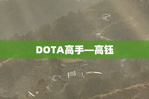 DOTA高手图片