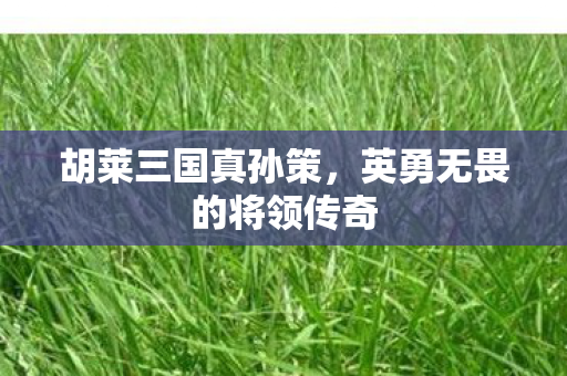 英勇无畏的将领传奇图片