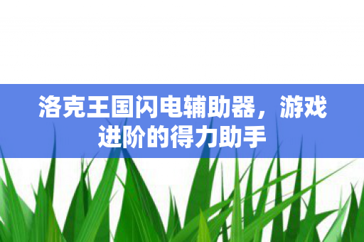 洛克王国闪电辅助器图片