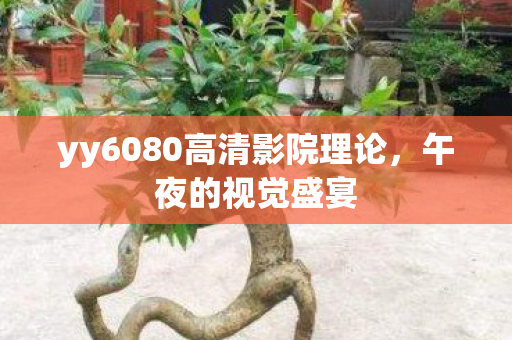 yy6080高清影院理论,午夜的视觉盛宴 yy6080高清影院理论,午夜的视觉盛宴