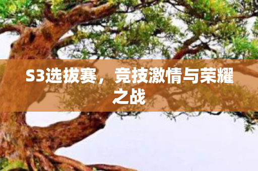 S3选拔赛,竞技激情与荣耀之战 S3选拔赛,竞技激情与荣耀之战