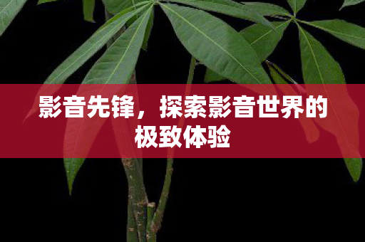 影音先锋,探索影音世界的极致体验 影音先锋,探索影音世界的极致体验