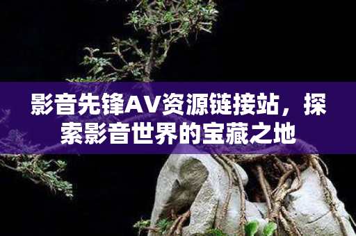 影音先锋AV资源链接站图片