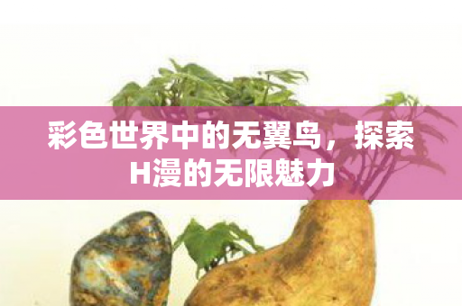 彩色世界中的无翼鸟图片