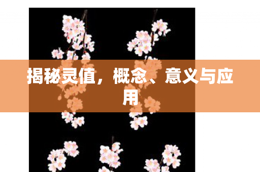 意义与应用图片