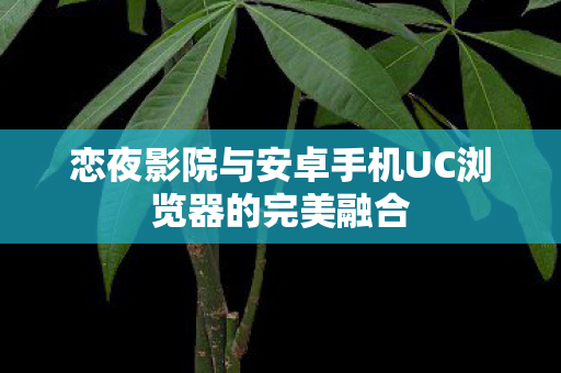 恋夜影院与安卓手机UC浏览器的完美融合图片