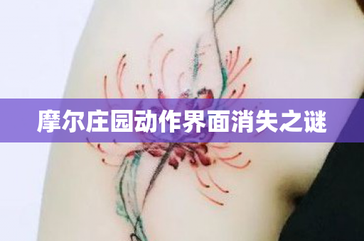 摩尔庄园动作界面消失之谜图片