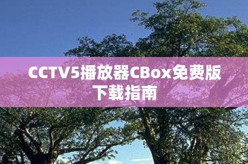 CCTV5播放器CBox免费版下载指南图片