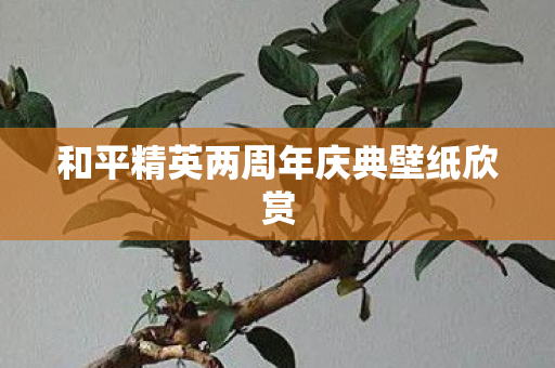 和平精英两周年庆典壁纸欣赏图片