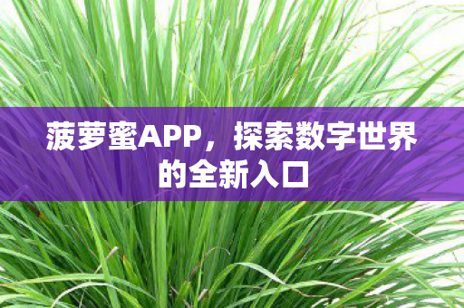 探索数字世界的全新入口图片