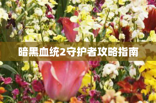 暗黑血统2守护者攻略指南图片