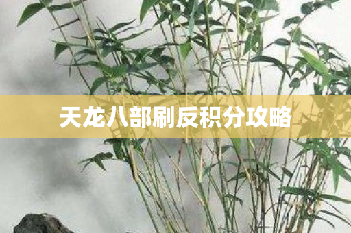 天龙八部刷反积分攻略图片