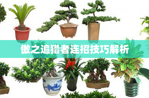 傲之追猎者连招技巧解析图片