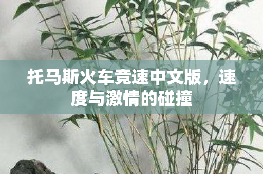 托马斯火车竞速中文版图片