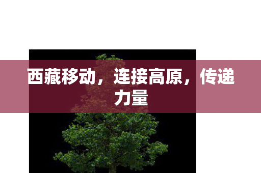 西藏移动图片