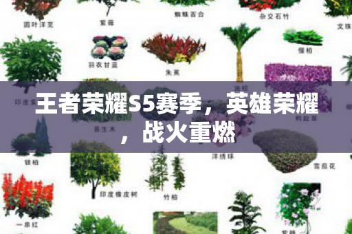 王者荣耀S5赛季图片