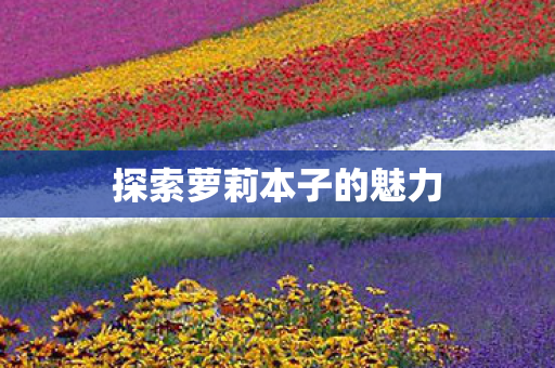 探索萝莉本子的魅力图片