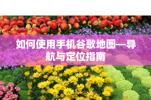如何使用手机谷歌地图图片