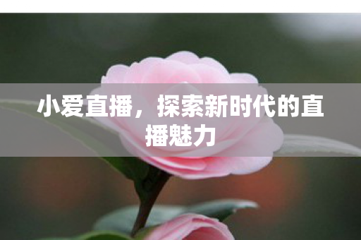 探索新时代的直播魅力图片