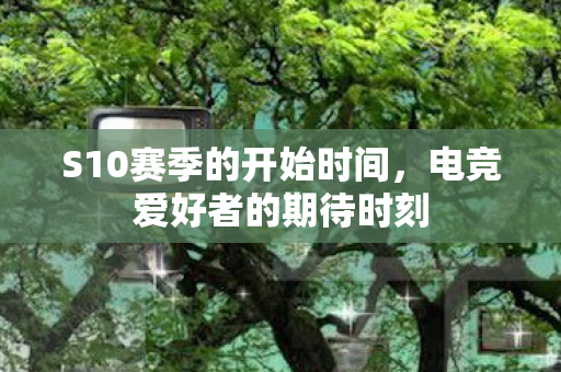 S10赛季的开始时间图片