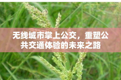 重塑公共交通体验的未来之路图片