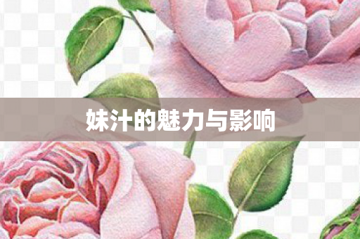 妹汁的魅力与影响图片