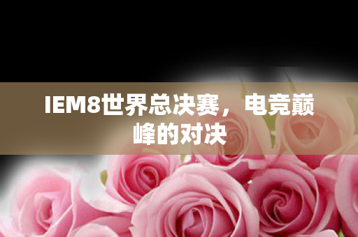 IEM8世界总决赛图片
