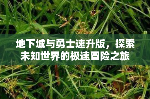 探索未知世界的极速冒险之旅图片