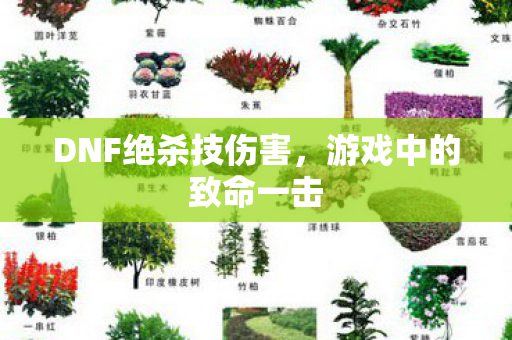 DNF绝杀技伤害图片