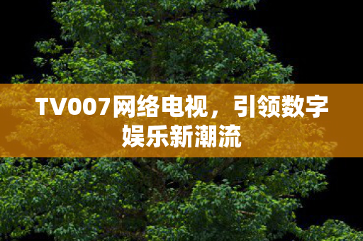 TV007网络电视图片
