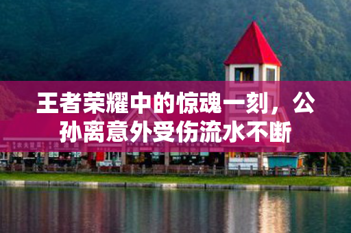 公孙离意外受伤流水不断图片