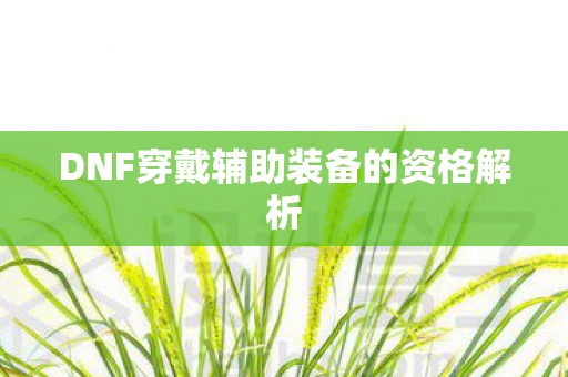 DNF穿戴辅助装备的资格解析图片