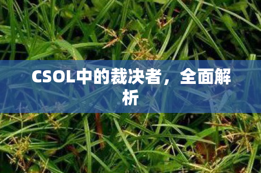 CSOL中的裁决者图片