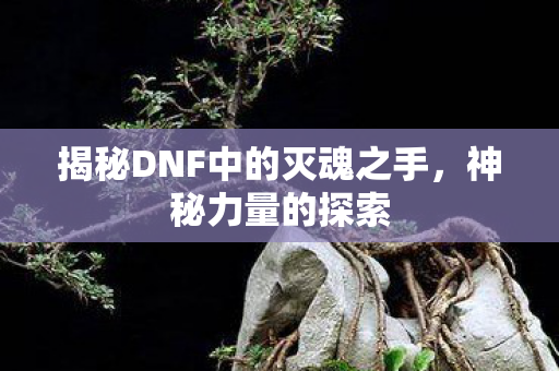 揭秘DNF中的灭魂之手图片