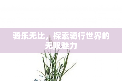 探索骑行世界的无限魅力图片