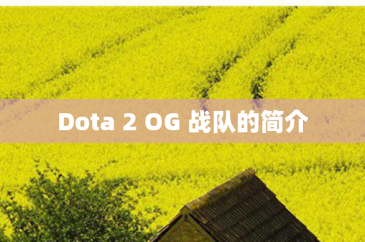 Dota 2 OG 战队的简介图片