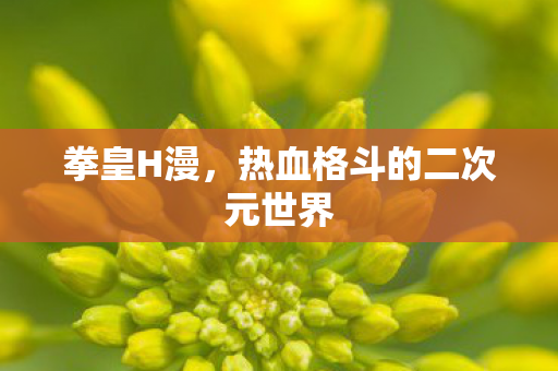 热血格斗的二次元世界图片