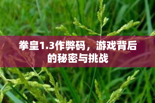 游戏背后的秘密与挑战图片