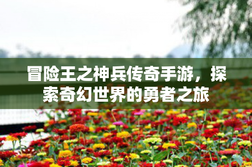 探索奇幻世界的勇者之旅图片