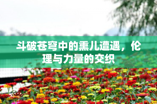 斗破苍穹中的熏儿遭遇图片