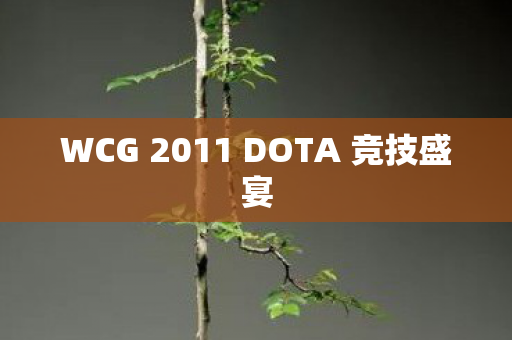 WCG 2011 DOTA 竞技盛宴 WCG 2011 DOTA 竞技盛宴